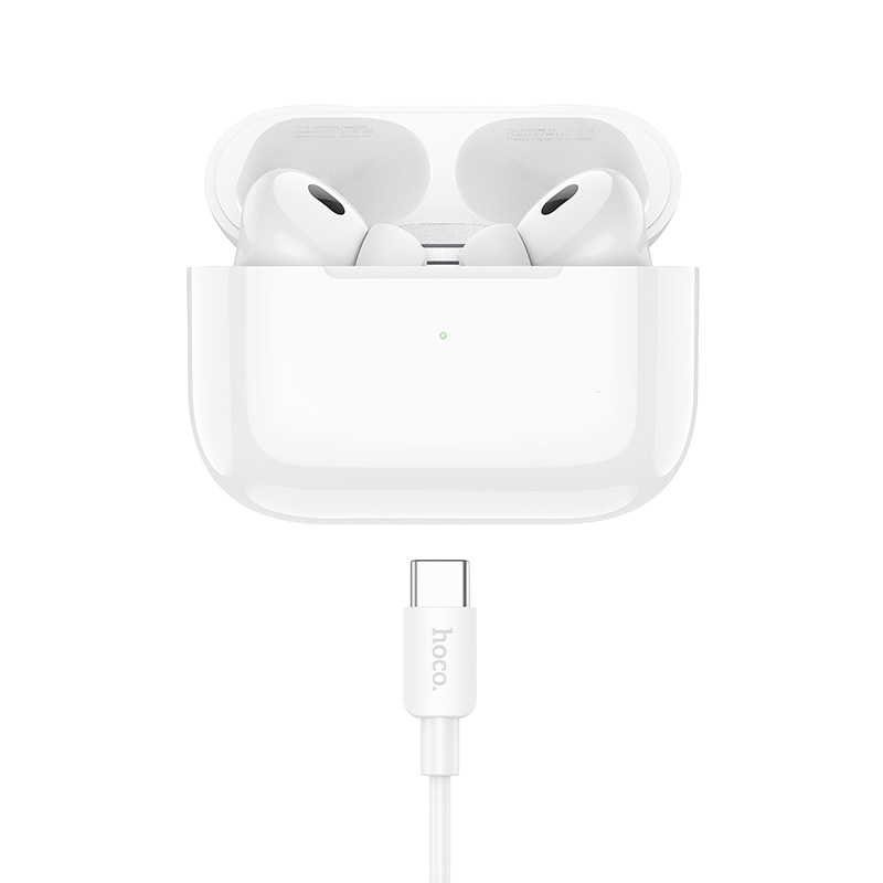Hoco True Wireless Stereo Headset with Charging Case EW93